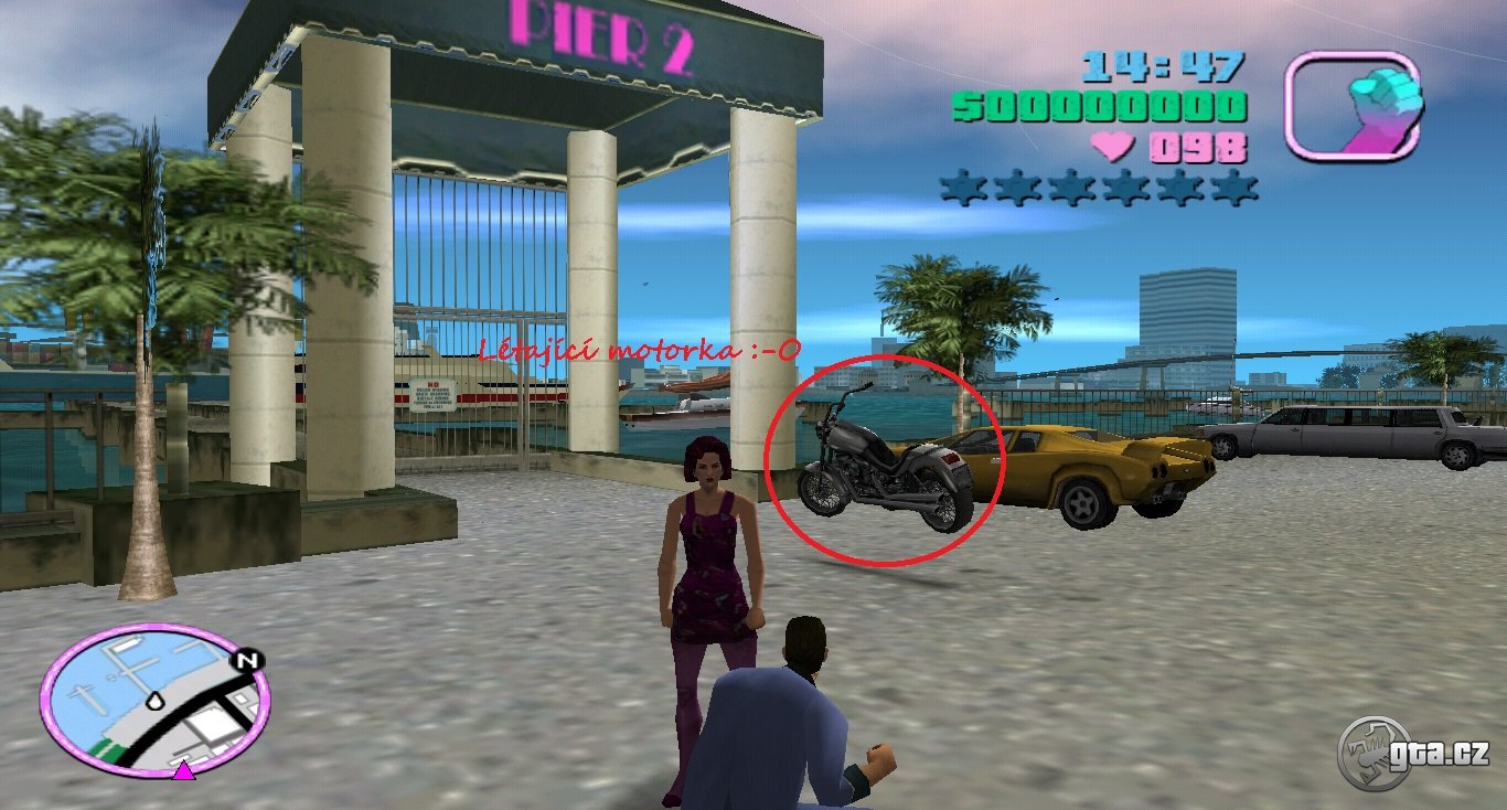 Skins for GTA Vice City with automatic installation: download free