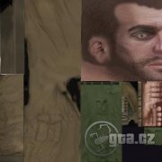 Niko Bellic Skin