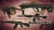 PointBlank Weapons PBIC2013