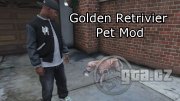 Golden Retriever Pet Mod